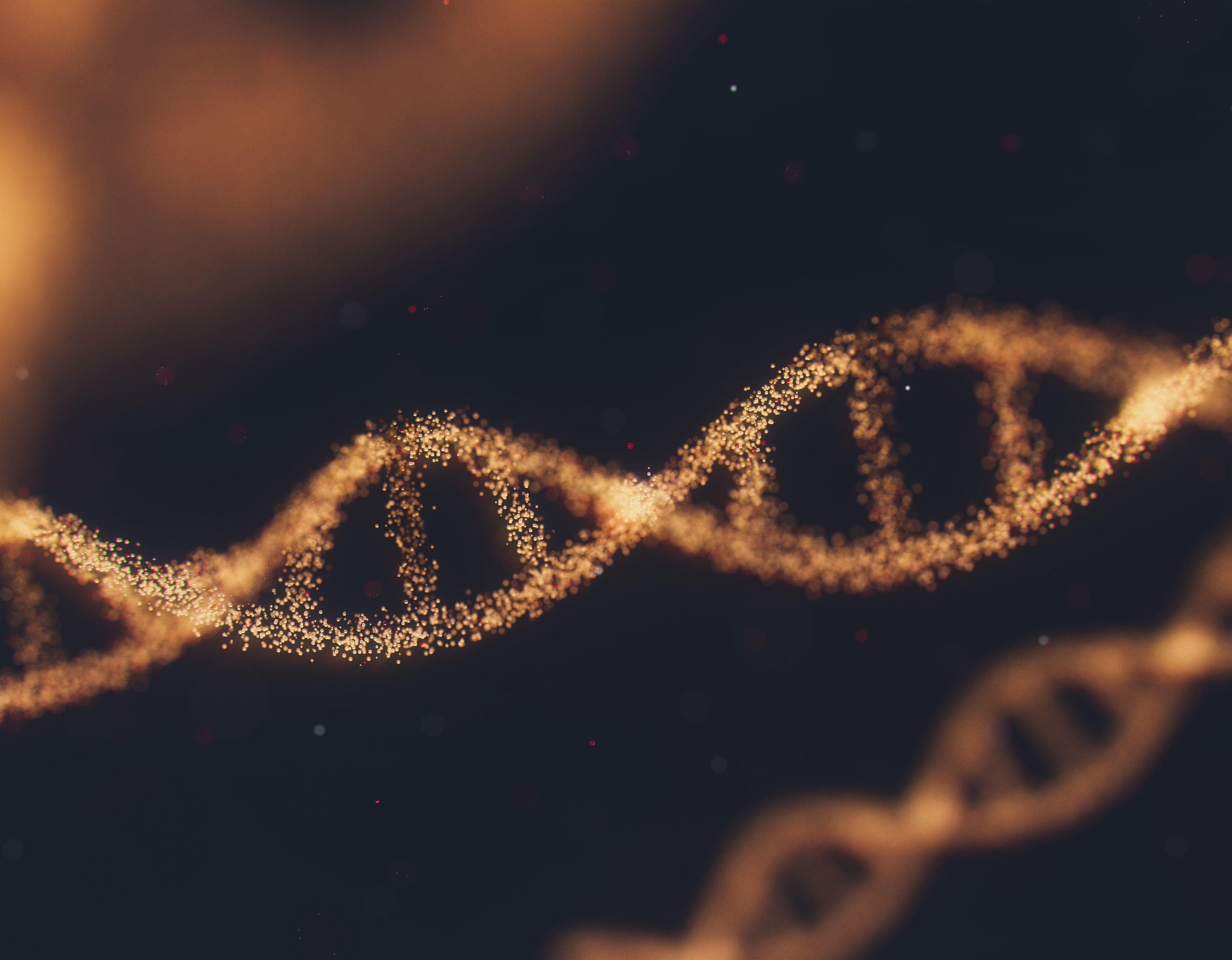 Kuromatsu DNA data